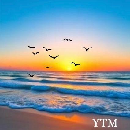 Timeless Travel Logo